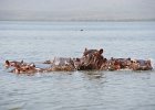 Lake Naivasha